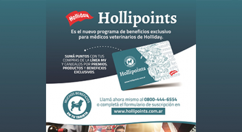 Hollipoints | Holliday